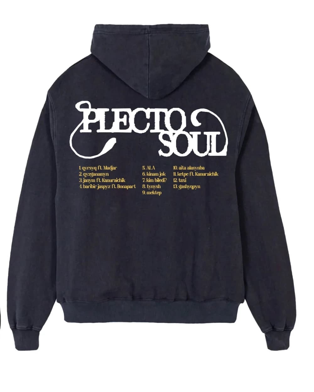 Зип-худи PLECTO SOUL, спина